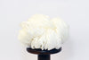 PaperPhine: Paper Raffia - Manila hemp - Paperraffia - Raffia PaperPhine: Paper Raffia - Manila hemp - Paperraffia - Raffia