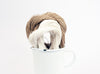 PaperPhine: Paperyarn - Paper Twine - Paperstring - Papertwine - Paper Yarn PaperPhine: Paperyarn - Paper Twine - Paperstring - Papertwine - Paper Yarn